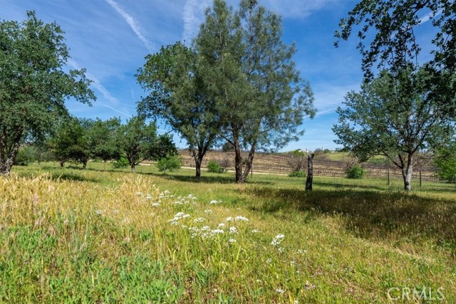 Detail Gallery Image 49 of 57 For 5685 Mustard Creek, Paso Robles,  CA 93446 - 3 Beds | 2 Baths
