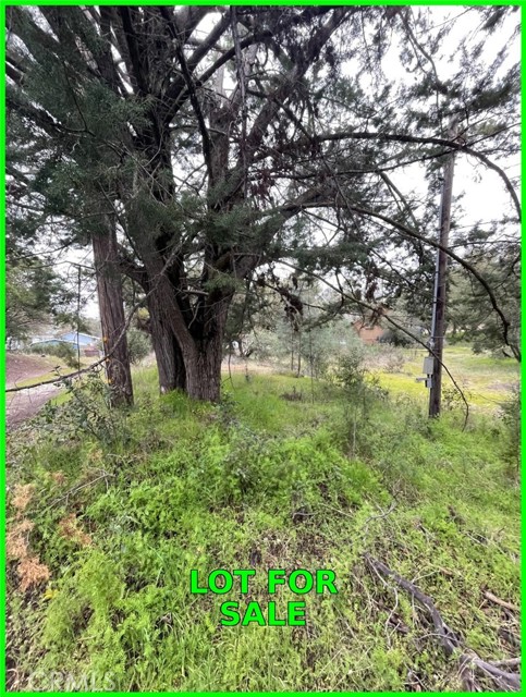 Detail Gallery Image 9 of 10 For 13672 Fair Oak Rd, Clearlake,  CA 95424 - – Beds | – Baths