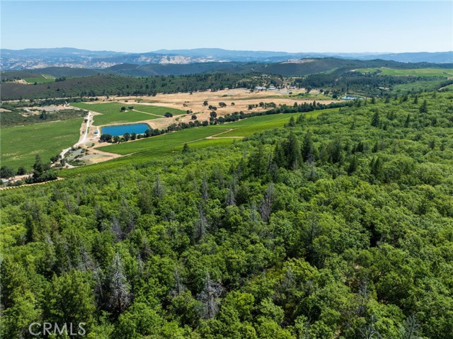 Detail Gallery Image 39 of 42 For 9600 Seigler Springs North Road, Kelseyville,  CA 95451 - – Beds | – Baths