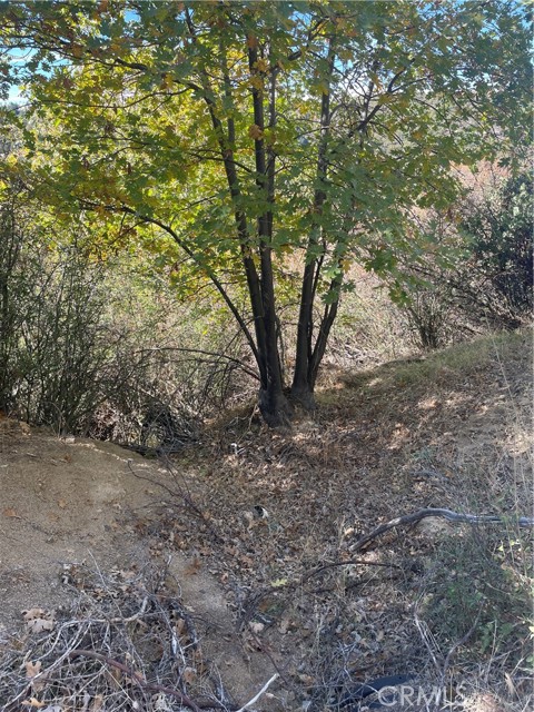 Detail Gallery Image 4 of 5 For 0 Acacia Rd, Cedar Glen,  CA 92321 - – Beds | – Baths