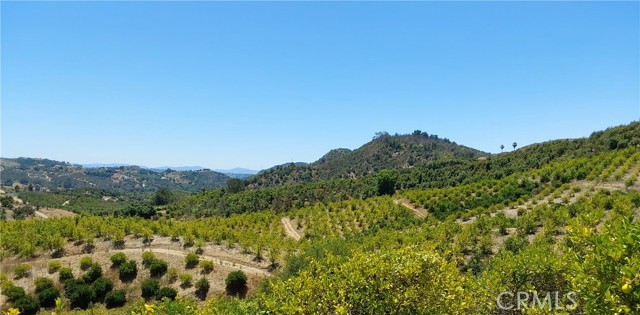 5 De Anza Road, Temecula CA: https://media.crmls.org/medias/067fb8a8-a08a-47e7-ad7f-27e28316b747.jpg