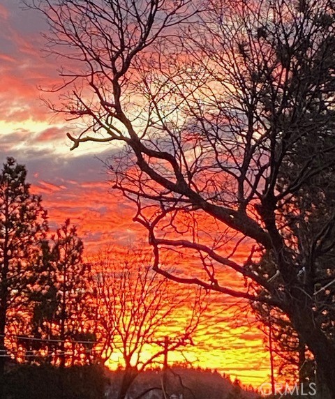 Detail Gallery Image 65 of 65 For 27720 St Bernard Ln, Lake Arrowhead,  CA 92352 - 4 Beds | 3 Baths