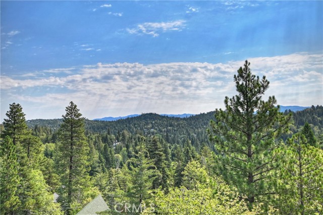 Detail Gallery Image 40 of 54 For 26354 Spyglass Dr, Lake Arrowhead,  CA 92352 - 3 Beds | 2 Baths