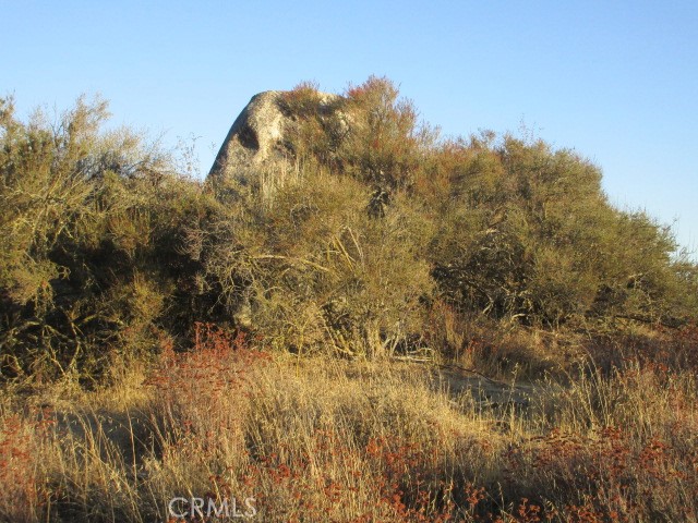 Detail Gallery Image 6 of 10 For 923 Wildlife Trail, Aguanga,  CA 92536 - – Beds | – Baths