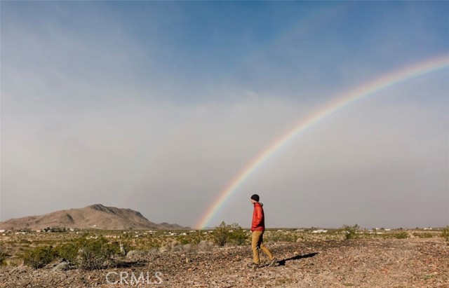 Detail Gallery Image 6 of 11 For 3170 Stonehill Ave, Joshua Tree,  CA 92252 - – Beds | – Baths