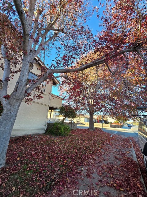 Detail Gallery Image 31 of 31 For 536 S 14th St, Grover Beach,  CA 93433 - 3 Beds | 2 Baths