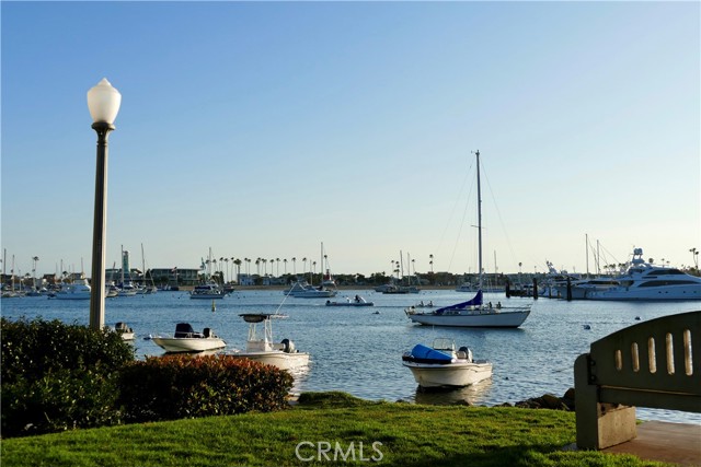 Front Image Thumbnail for CRNP26060390