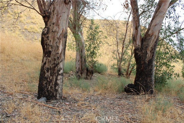 3448 N Beverly Drive, San Bernardino CA: https://media.crmls.org/medias/06a6e5ab-1ac3-4a2a-8be9-53edc6d28ed3.jpg