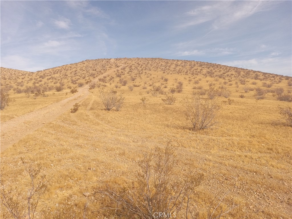 MLS #DW25020276 image #3