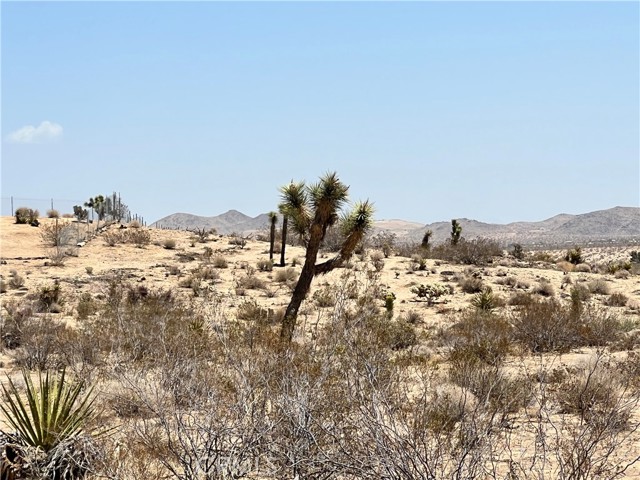 0 Old Woman Springs, Landers, CA, 92285 0 Old Woman Springs, Landers, CA, 92285