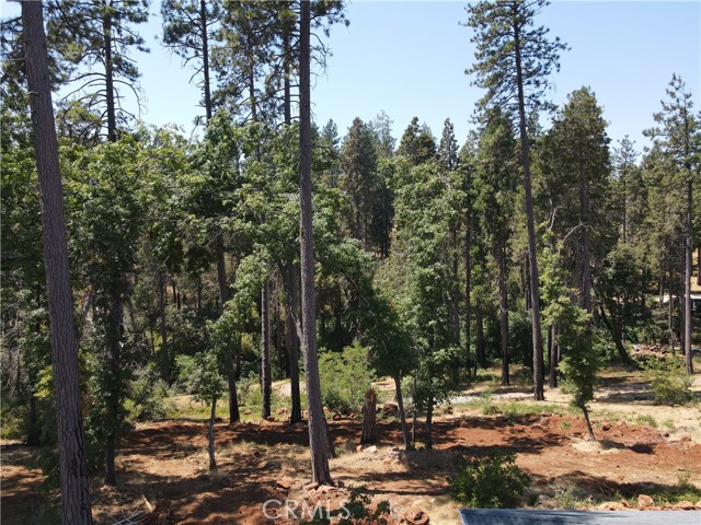 1796 Forest Glen Road, Paradise CA: https://media.crmls.org/medias/06b3e1b3-6ab3-4095-a152-f3e117e675a7.jpg