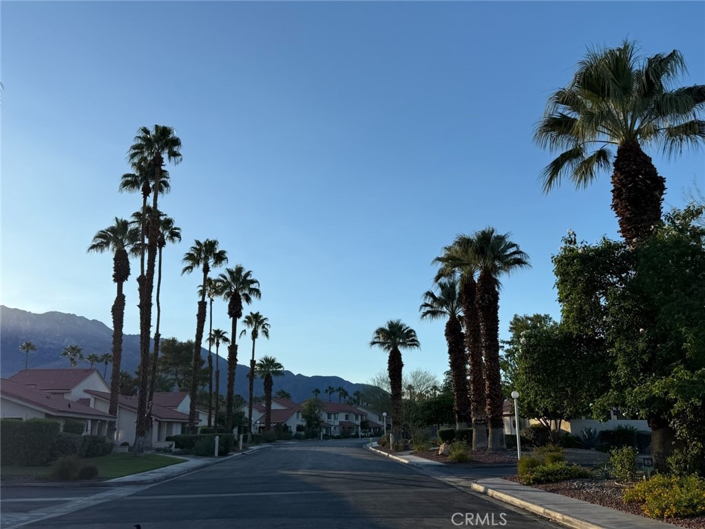 MLS #IG25250354 image #16