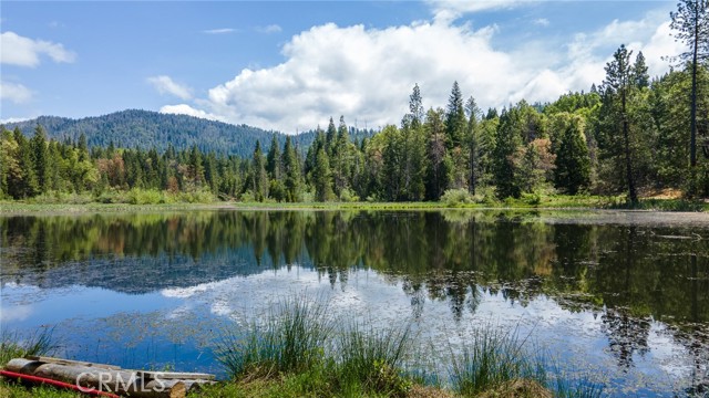 Detail Gallery Image 1 of 25 For 5657 Worman Rd, Ahwahnee,  CA 95338 - 8 Beds | 8 Baths