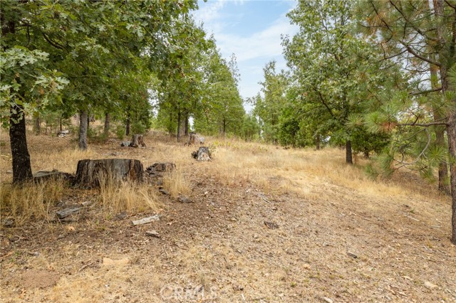 Detail Gallery Image 9 of 55 For 26 Timberview, North Fork,  CA 93643 - – Beds | – Baths