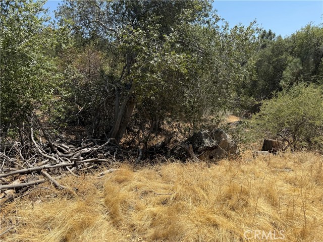 Detail Gallery Image 8 of 15 For 1 N Dome Dr, Coarsegold,  CA 93614 - – Beds | – Baths
