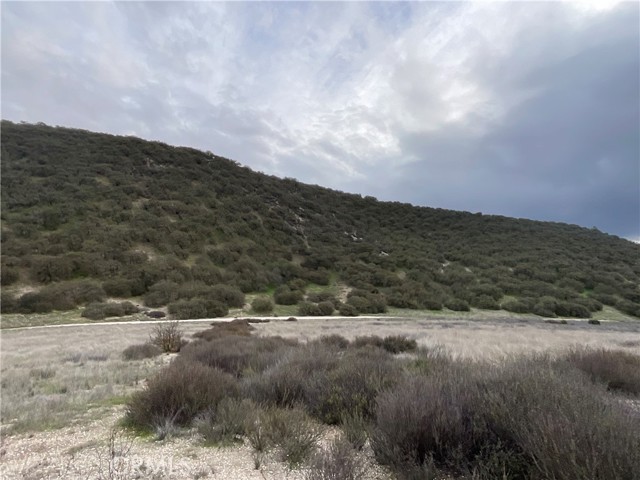 Detail Gallery Image 14 of 20 For 104 Paulsen Rd, Lockwood,  CA 93932 - – Beds | – Baths