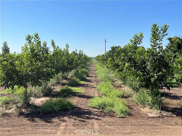 Detail Gallery Image 16 of 18 For 0 Kelly Ln, Chico,  CA 95973 - – Beds | – Baths