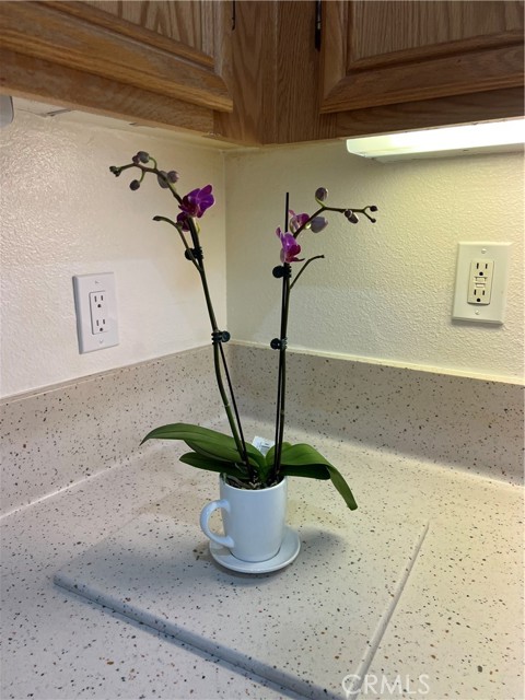 Detail Gallery Image 40 of 61 For 14751 Indian Wells, Victorville,  CA 92394 - 4 Beds | 3 Baths