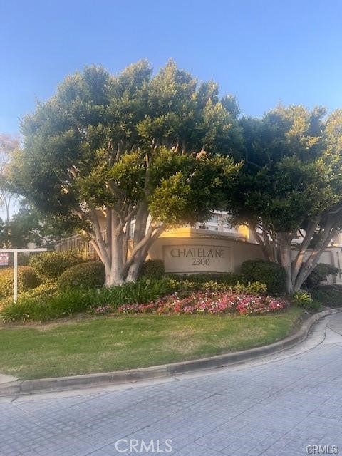 Front Image Thumbnail for CRSB26055490