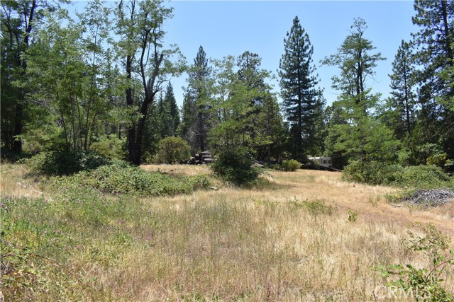 Detail Gallery Image 8 of 43 For 11605 La Porte Rd, Clipper Mills,  CA 95925 - 3 Beds | 2/1 Baths