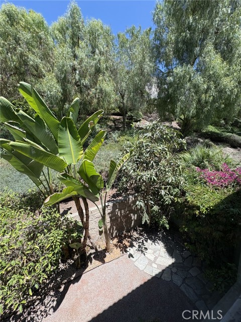 Detail Gallery Image 8 of 14 For 5 Halcyon Ln, Aliso Viejo,  CA 92656 - 3 Beds | 2/1 Baths
