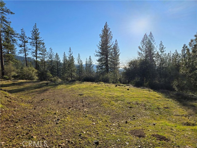 Detail Gallery Image 11 of 34 For 0 Double Eagle Way, Brownsville,  CA 95919 - – Beds | – Baths