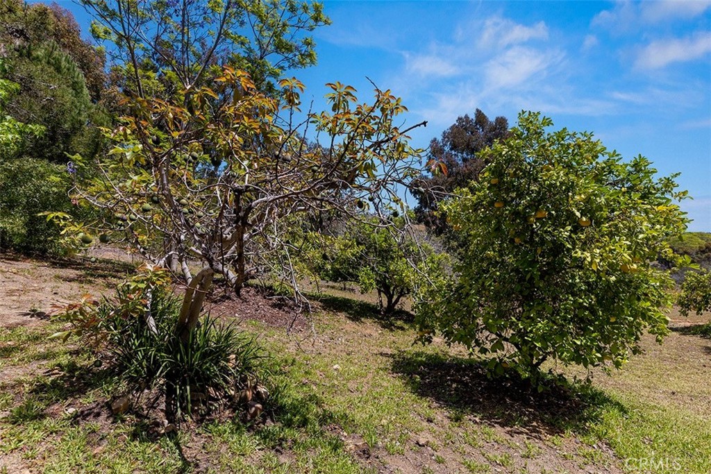 https://media.crmls.org/medias/06eaab1b-e3ff-4e2b-a829-a9b778074ac0.jpg?preset=X-Large