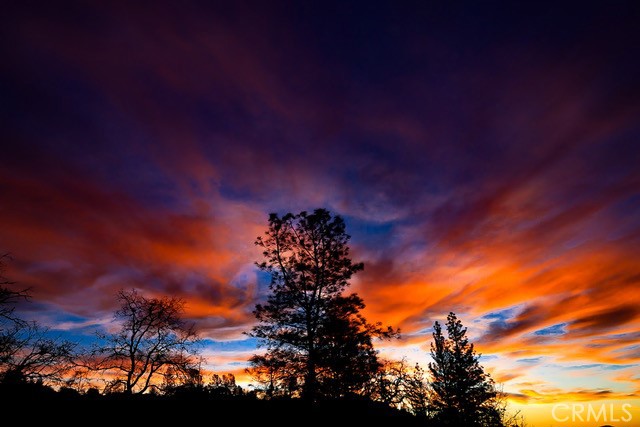Detail Gallery Image 41 of 72 For 5333 Wilderness View Dr, Mariposa,  CA 95338 - 2 Beds | 2 Baths