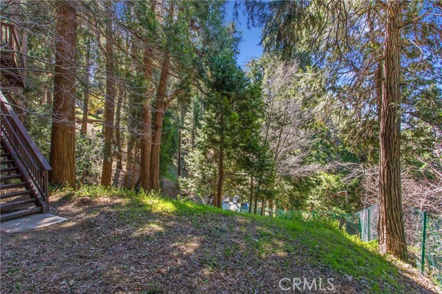 Image 34 of 39 For 1036 Venus Way