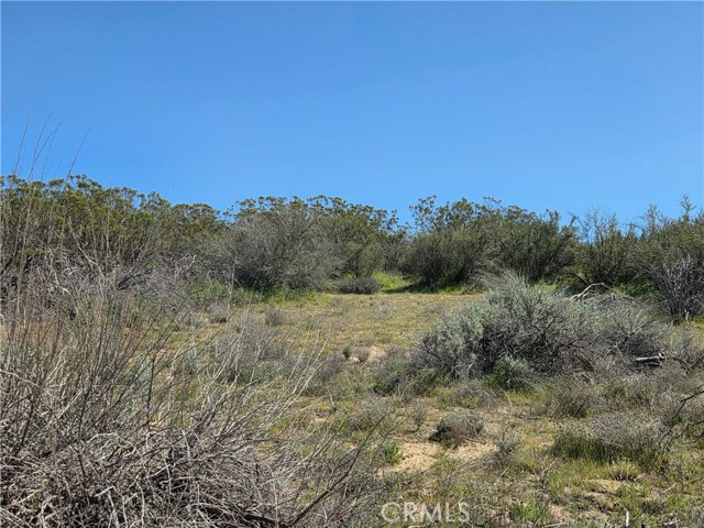 Detail Gallery Image 14 of 14 For 0 Pony Trail, Anza,  CA 92539 - – Beds | – Baths