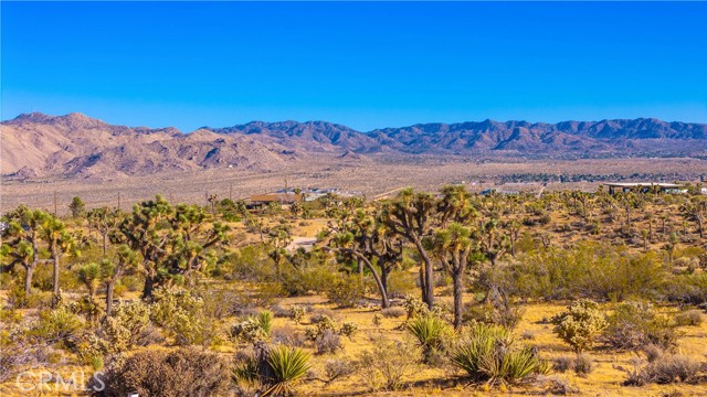 Detail Gallery Image 53 of 75 For 58871 Meredith Ct, Yucca Valley,  CA 92284 - 3 Beds | 2 Baths