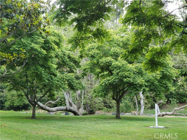 Detail Gallery Image 44 of 48 For 223 Avenida Marjoca a,  Laguna Woods,  CA 92637 - 2 Beds | 2 Baths