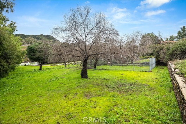 31041 Lobo Canyon Road photo 8