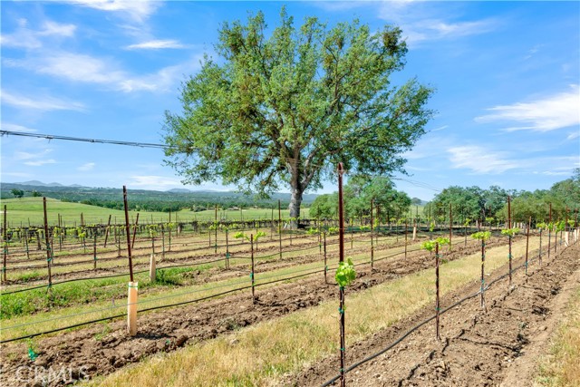 Detail Gallery Image 63 of 66 For 53600 Bradley Lockwood, Bradley,  CA 93426 - 3 Beds | 2 Baths