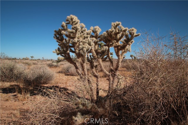 0 Songbird Lane, Yucca Valley, California 92264, ,Land,For Sale,0 Songbird Lane,CRJT23189101