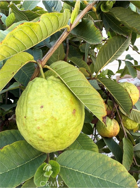 Detail Gallery Image 27 of 29 For 1441 Paso Real Ave #300,  Rowland Heights,  CA 91748 - 4 Beds | 3 Baths