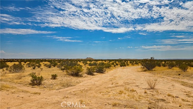 Front Image Thumbnail for CRSR26178508