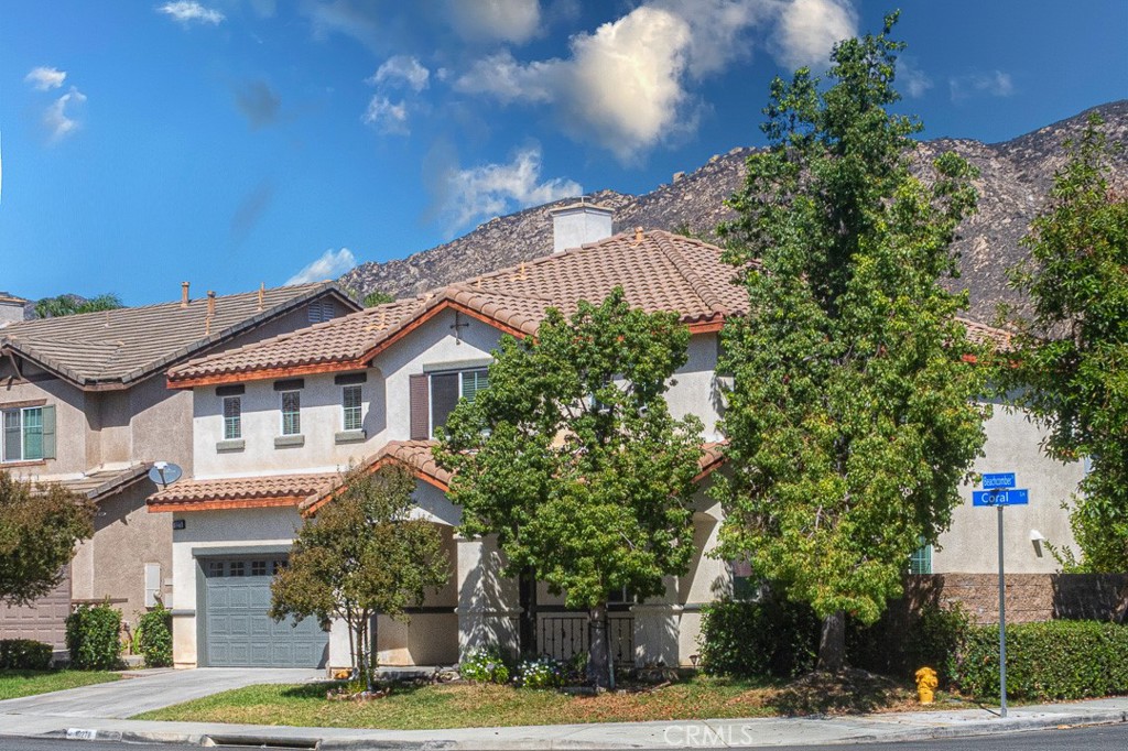 10278 Coral
