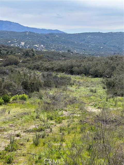 56 Taffel Ranch Road, Hemet, California 92544, ,Land,For Sale,56 Taffel Ranch Road,CRSW24049974