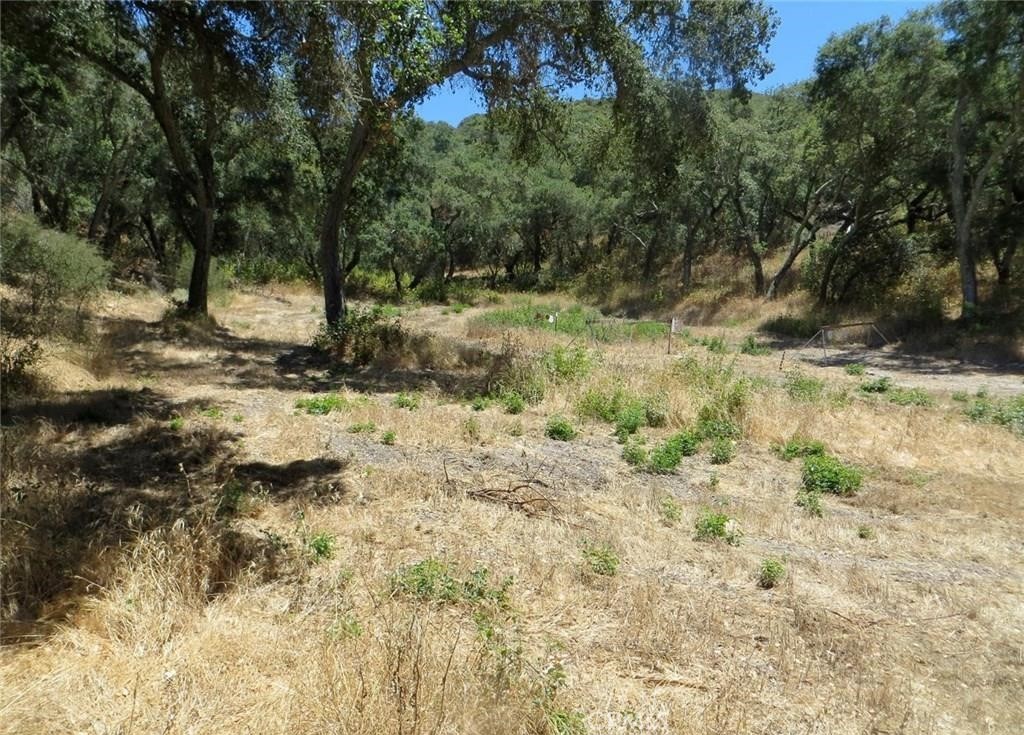 10059 Danford Canyon Road, Santa Maria, CA 93454