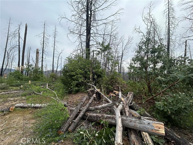 Detail Gallery Image 12 of 14 For 83 Oak Tree Lane, Berry Creek,  CA 95916 - – Beds | – Baths