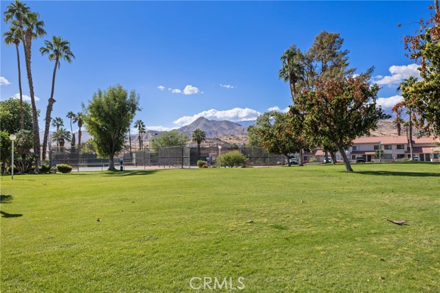 Detail Gallery Image 29 of 35 For 6135 Montecito Dr, Palm Springs,  CA 92264 - 3 Beds | 2/1 Baths