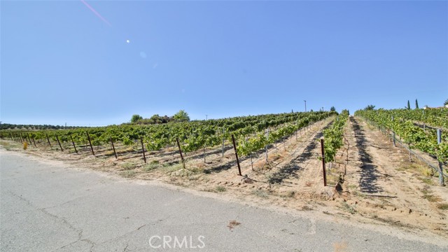 Detail Gallery Image 17 of 29 For 40970 Anza Rd, Temecula,  CA 92592 - 5 Beds | 4/1 Baths