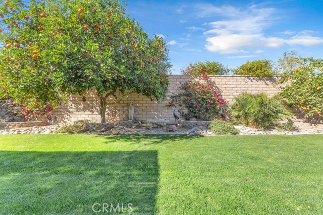 Detail Gallery Image 19 of 30 For 41097 Rawling Ct, Indio,  CA 92203 - 4 Beds | 2/1 Baths