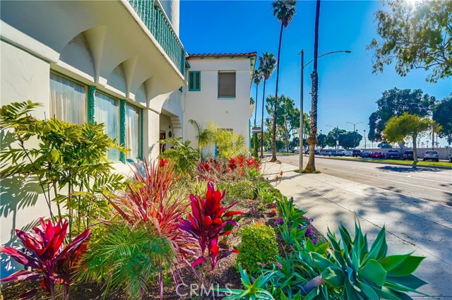 14 Park Avenue, Long Beach CA: https://media.crmls.org/medias/0729e649-6cf6-480c-9aa5-0c8994dd3e68.jpg