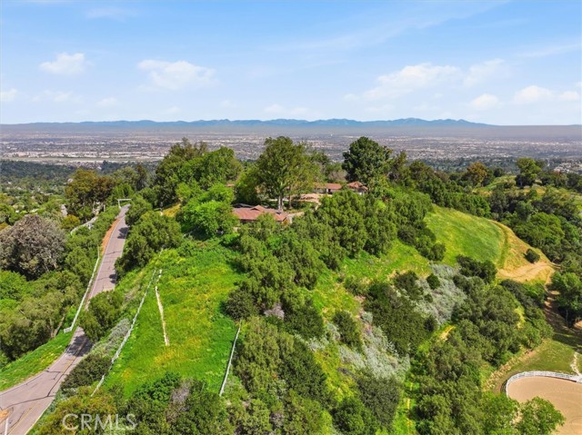 Image 4 of 66 For 100 Saddleback