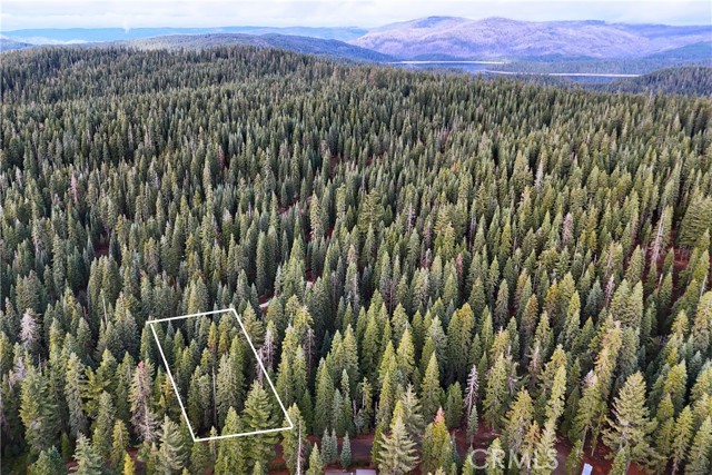 Front Image Thumbnail for CROC26013653