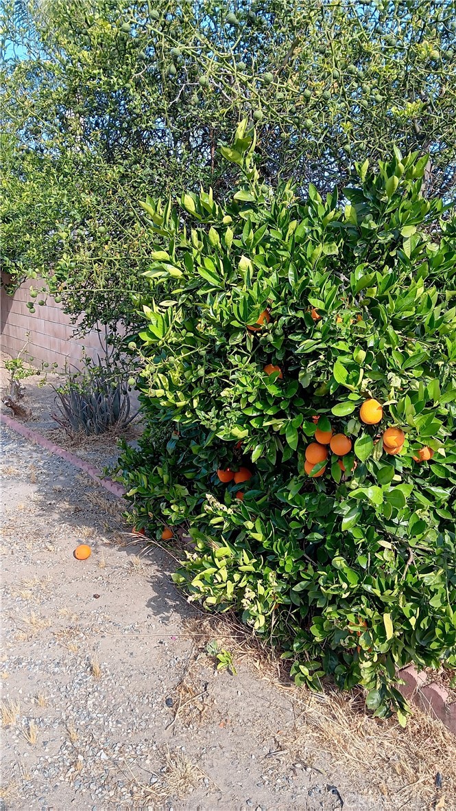 https://media.crmls.org/medias/072f1767-30f7-4707-a5b8-d084ecebb986.jpg?preset=X-Large