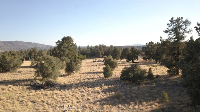 16469 Curtis Trail, Frazier Park CA: https://media.crmls.org/medias/07350502-d8b9-4fdf-8941-54a0a5c71ab0.jpg