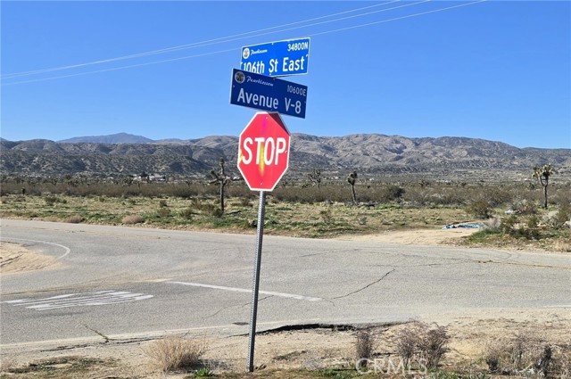 Detail Gallery Image 6 of 7 For 105 Th E Ave V8 & 106th E, Pearblossom,  CA 93553 - – Beds | – Baths